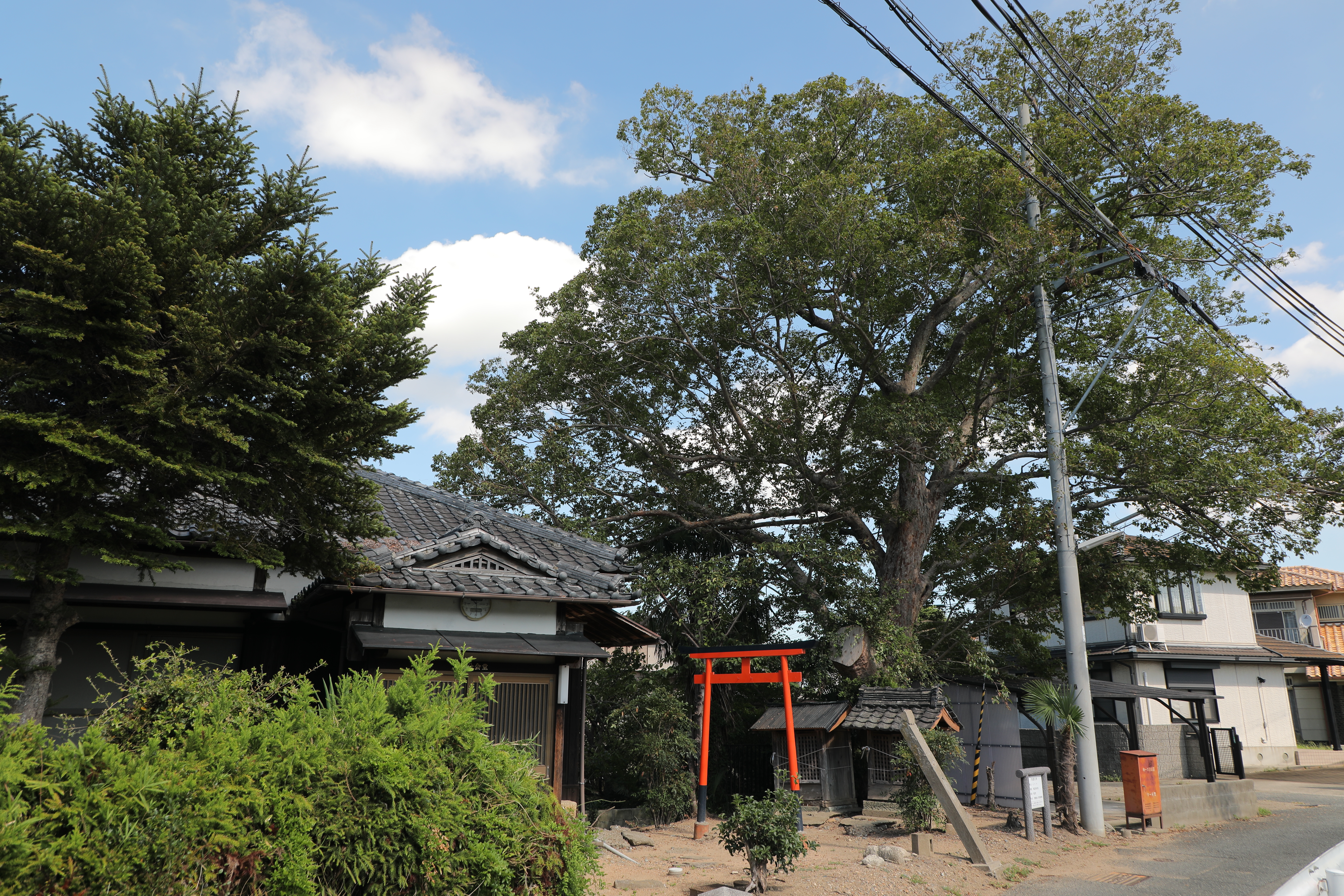 　神社仏閣のみち（平野町南部）